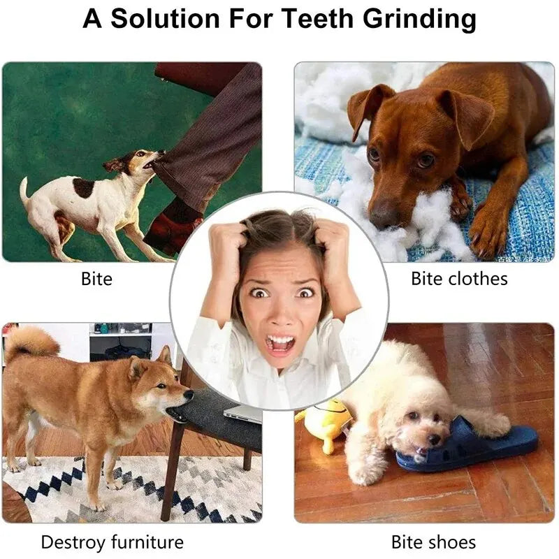 Interactive Treat & Chew Ball