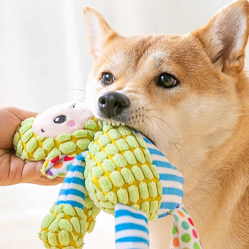 Chew Buddy Toy