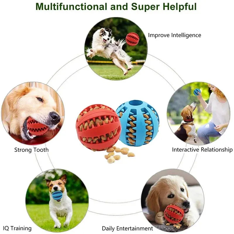 Interactive Treat & Chew Ball