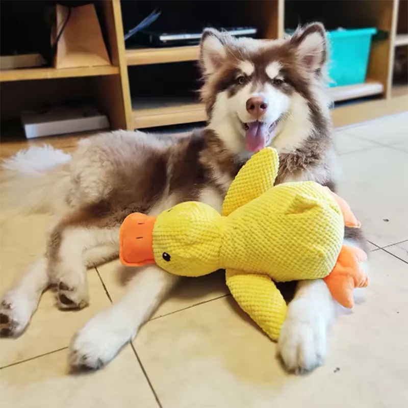 Duck Chew Toy