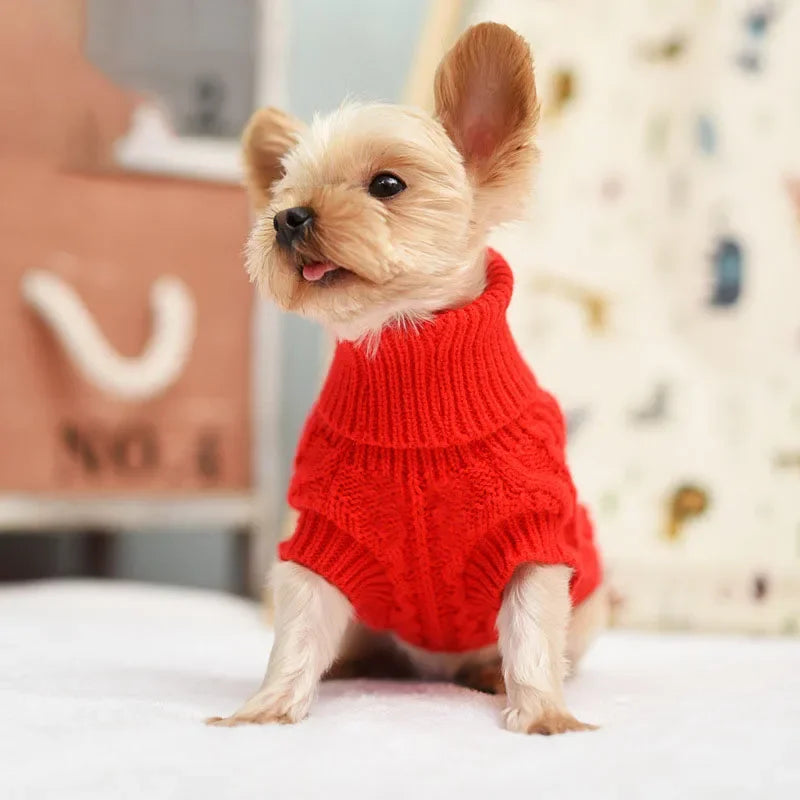 Cozy Tail Pet Sweater