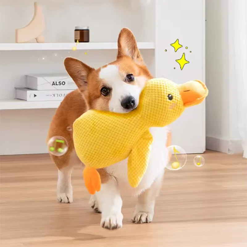 Duck Chew Toy