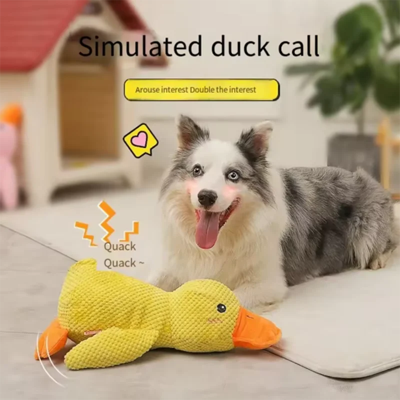 Duck Chew Toy