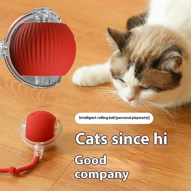 Cat Rolling Ball Toy