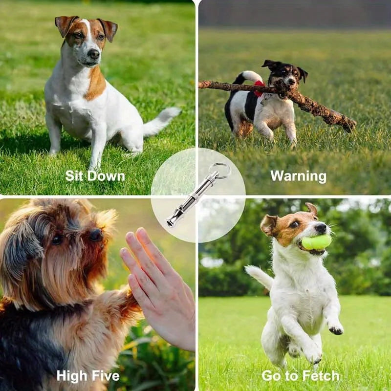 Key chain Dog Training Whistle