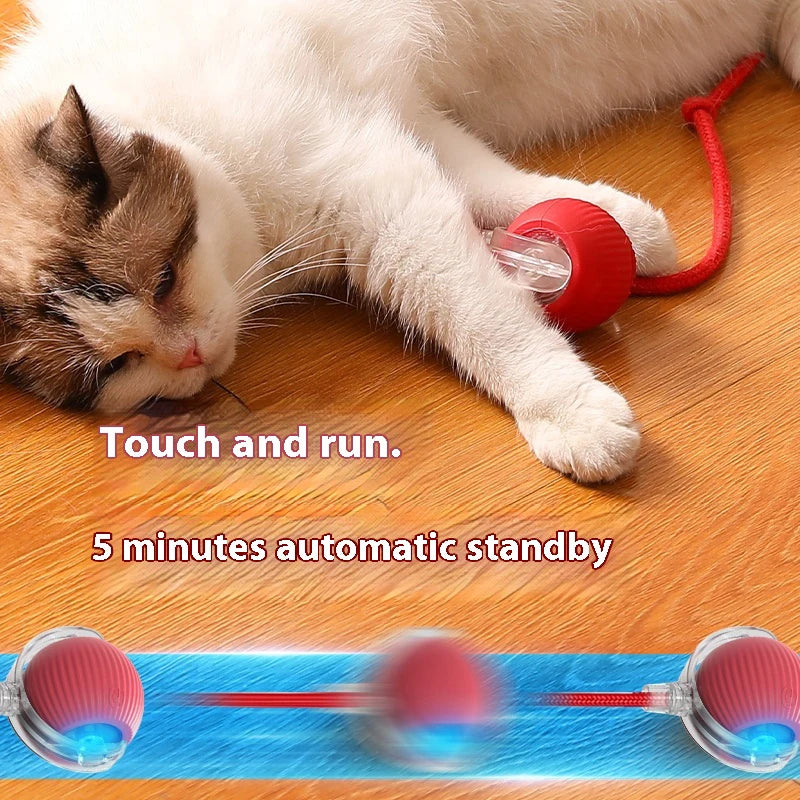 Cat Rolling Ball Toy