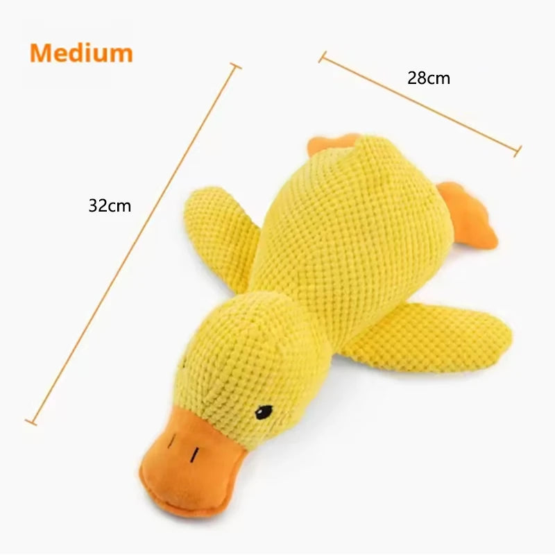Duck Chew Toy