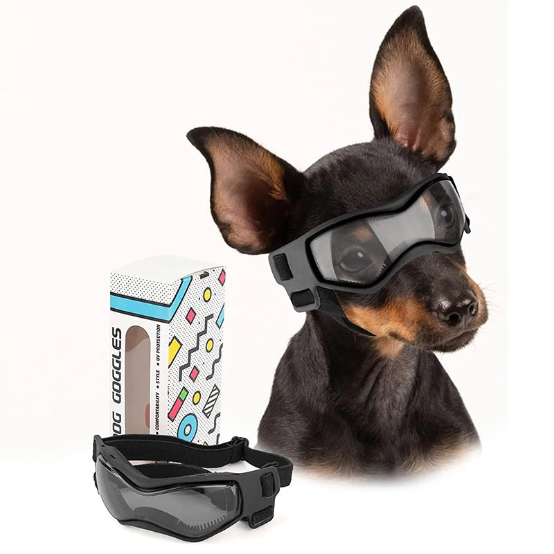 Rider Pet Protective Goggles