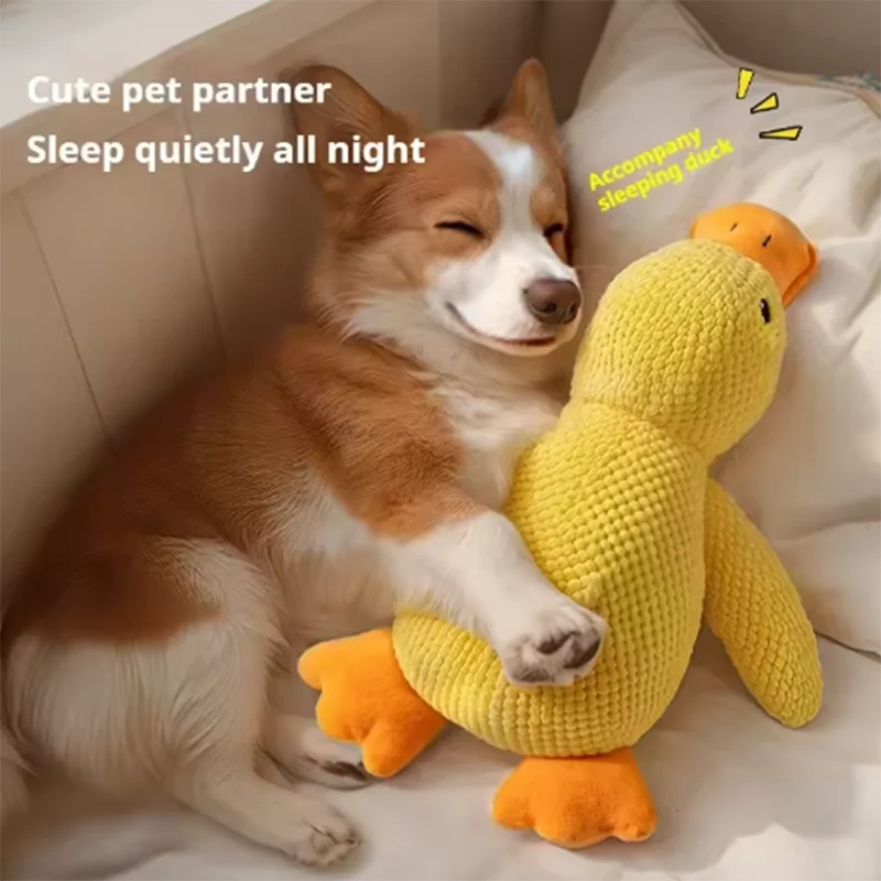 Duck Chew Toy