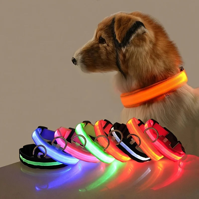Glow Pup Leash
