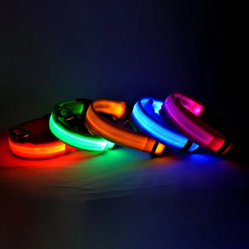 Glow Pup Leash