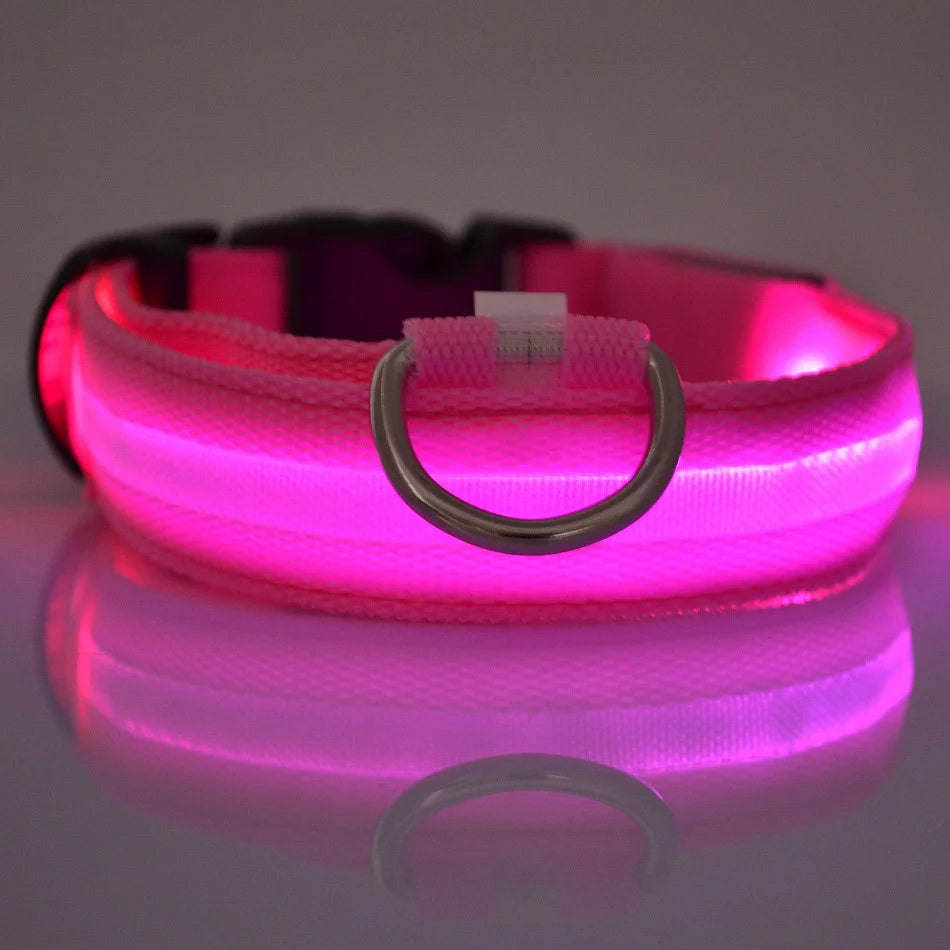 Glow Pup Leash