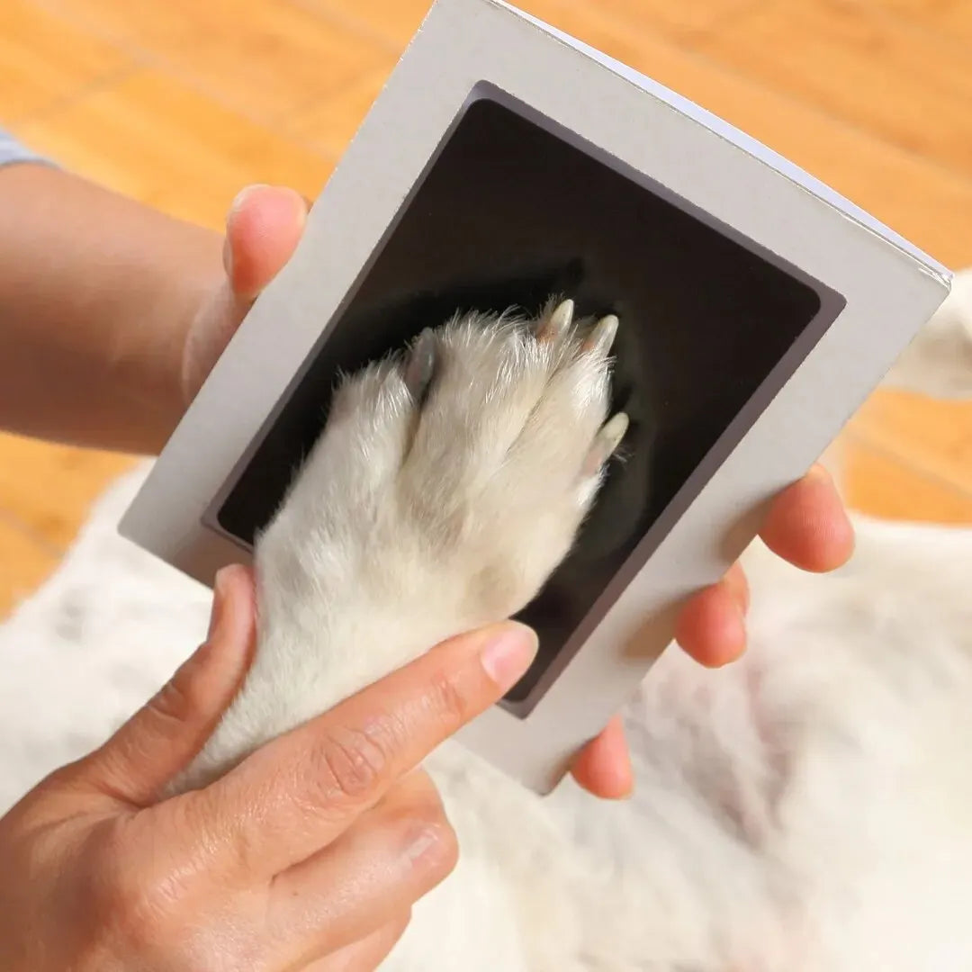 Ink Print Kit Paw Pad