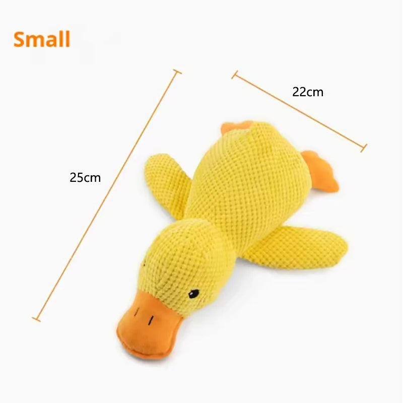Duck Chew Toy
