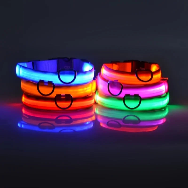 Glow Pup Leash