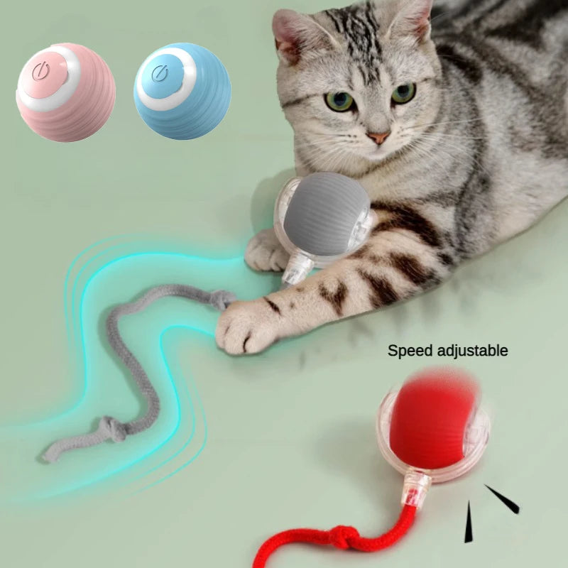Cat Rolling Ball Toy