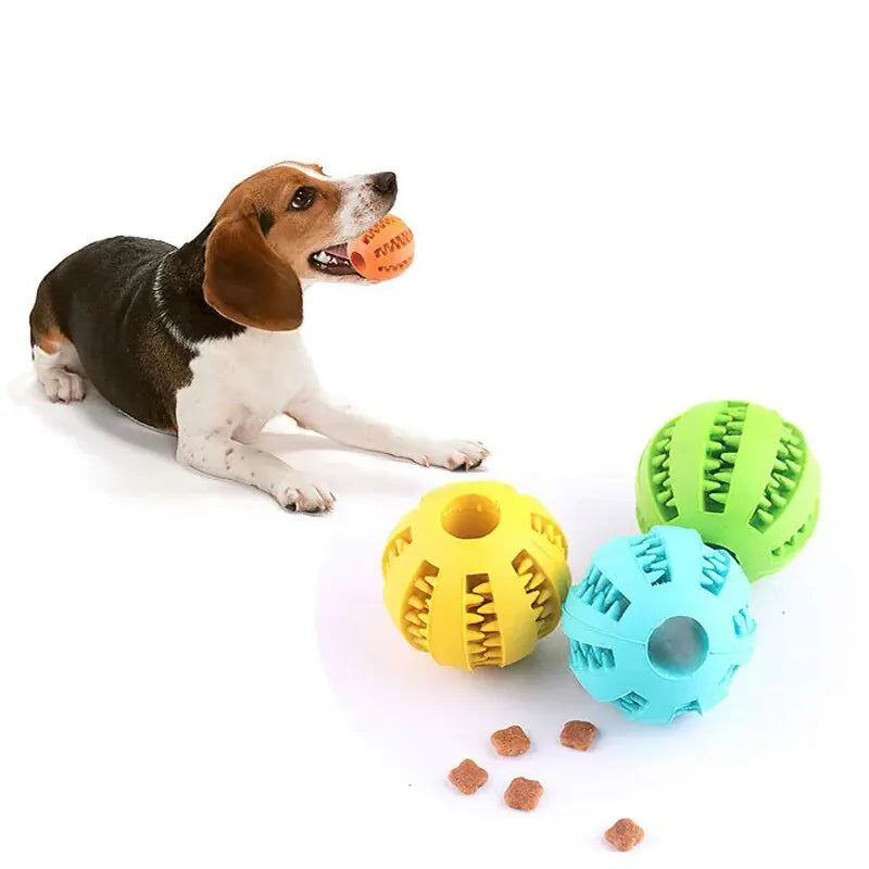 Interactive Treat & Chew Ball