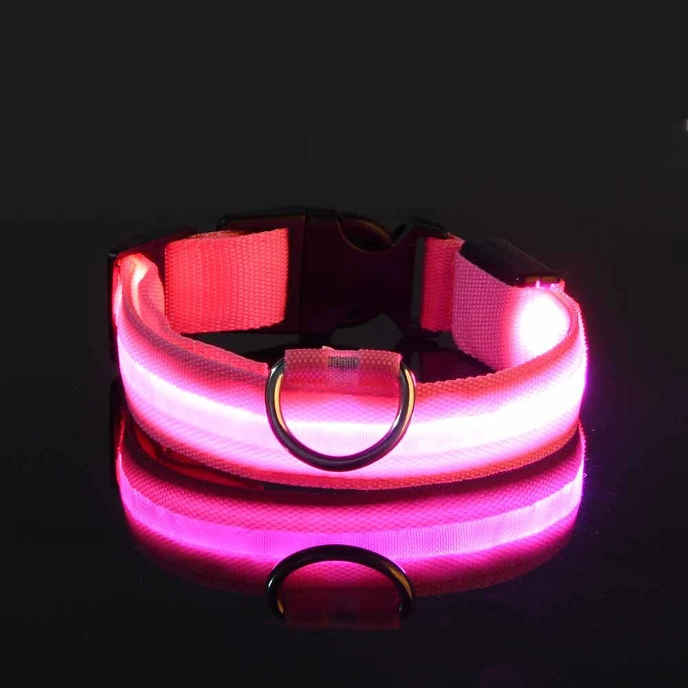 Glow Pup Leash