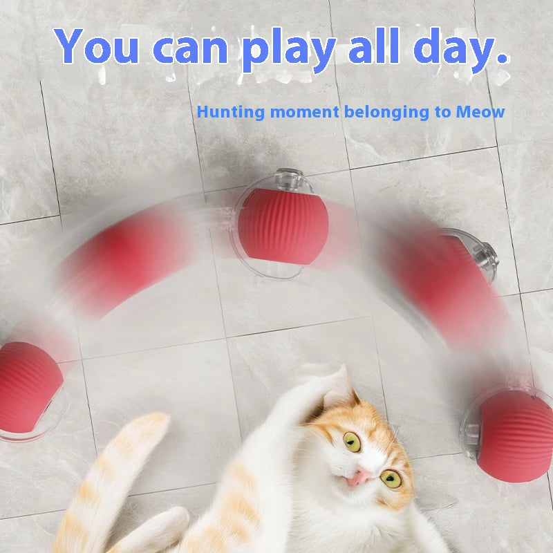 Cat Rolling Ball Toy
