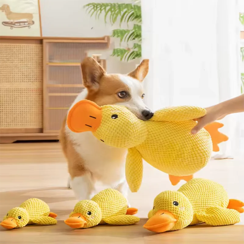 Duck Chew Toy