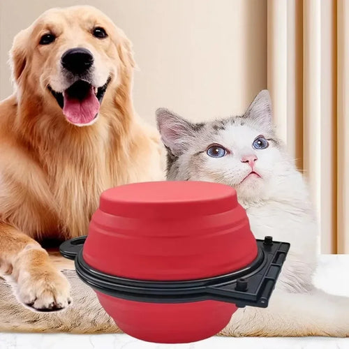 2-in-1 Foldable Pet Bowl
