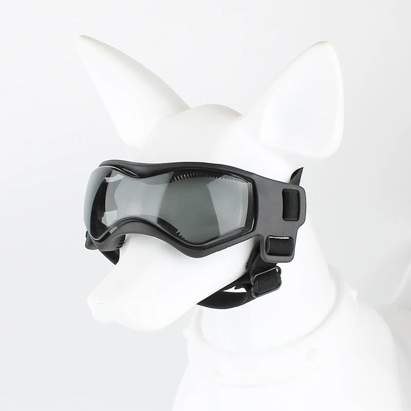 Rider Pet Protective Goggles